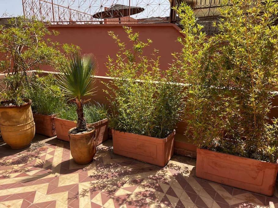 Riad Nadara, Superbe Riad Au Coeur De La Medina! Marrakesh Exterior photo